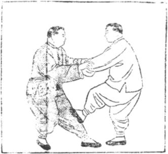 Figure 51