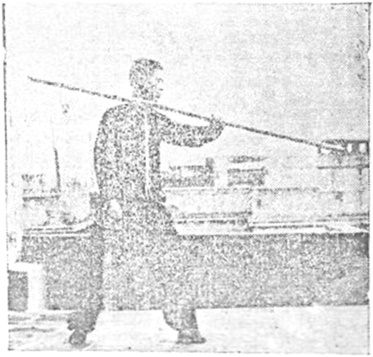 Posture 17 — Pas croisé, barrage oblique (figure 17a)
