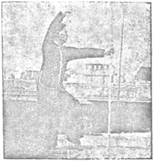Posture 79 — Pas enjambant le tigre, bâton levé (figure 79b)