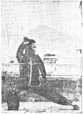 Posture 5 — Jambe jetée, balayage bas (figure 5b)