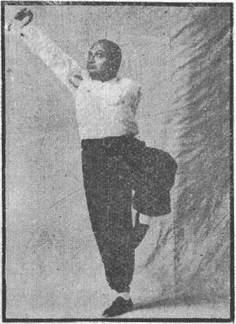 Figure 8 du « Tantui jiangyi » (1935) — le canon vers le ciel (第八圖\u3000冲天炮)