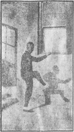 Figure 7 du livre : jambe levée pour piétiner