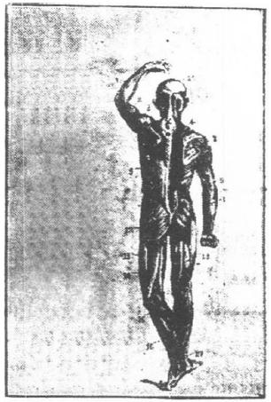 Page de titre