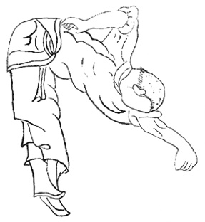 Deuxième posture : le lion secoue la tête