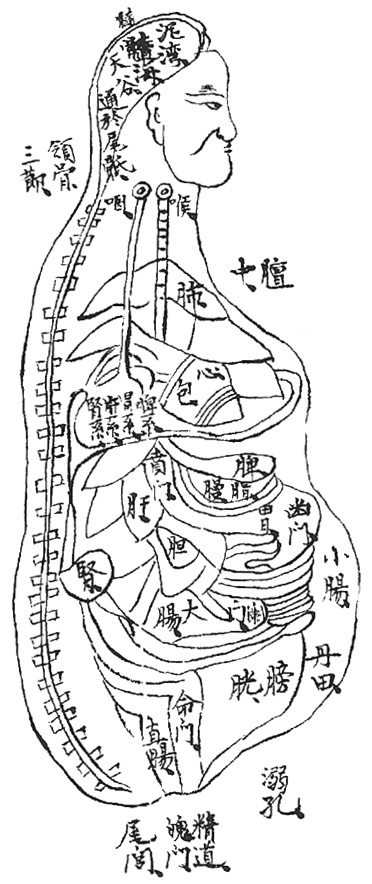 Tableau de la contemplation interne : carte du souffle dans le corps