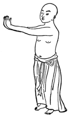 Figure originale n° 5 de 1917 : Sortir les griffes et déployer les ailes (出爪亮翅勢)