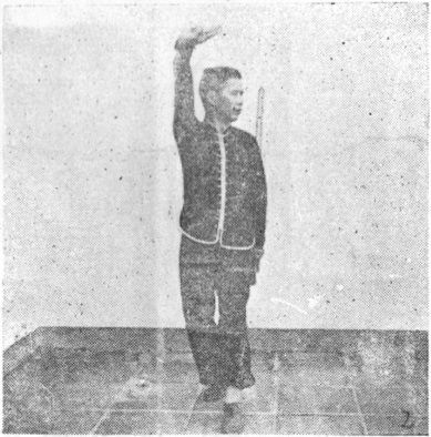 Posture 2, figure finale (planche 2b) : le pas de chevaucher le tigre à gauche, la pince droite levée au-dessus de la tête