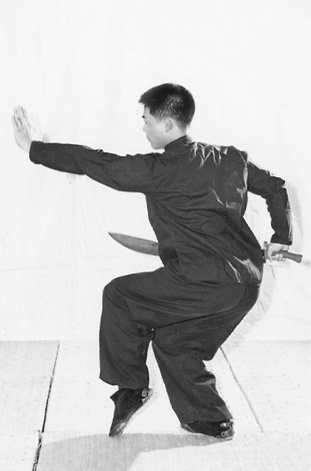Posture 10 (planche 10) : même figure que la précédente, en miroir — le pas de chevaucher le tigre à gauche, le sabre tiré vers la gauche