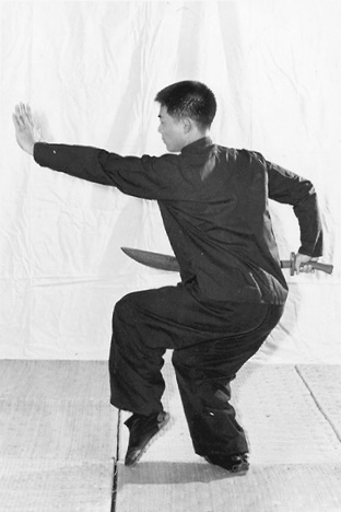 Posture 16 (planche 16) : changement d&rsquo;orientation vers l&rsquo;ouest, le pas de chevaucher le tigre à gauche, le sabre contournant l&rsquo;épaule gauche