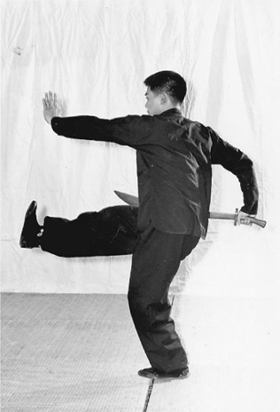 Posture 27 (planche 27) : le coup de pied laminant du pied droit, le corps incliné vers la droite, le sabre maintenu en position
