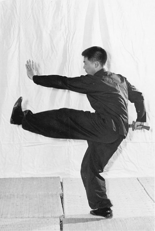 Posture 31 (planche 31) : le pas en posture vide à gauche, le sabre ressorti par l&rsquo;épaule gauche, la paume gauche et le pied gauche sortis ensemble